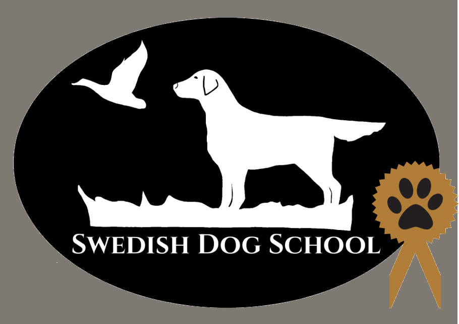 Swedish Dog School
